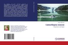 Buchcover von Cамосборка жизни