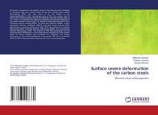 Copertina di Surface severe deformation of the carbon steels