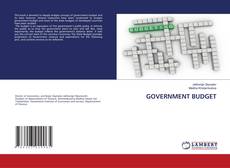 Copertina di GOVERNMENT BUDGET