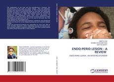 Copertina di ENDO-PERIO LESION - A REVIEW