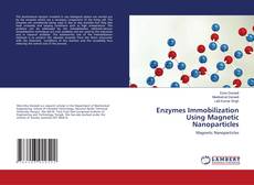 Copertina di Enzymes Immobilization Using Magnetic Nanoparticles