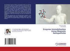 Copertina di Enzymes Immobilization Using Magnetic Nanoparticles