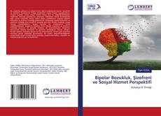 Copertina di Bipolar Bozukluk, Şizofreni ve Sosyal Hizmet Perspektifi
