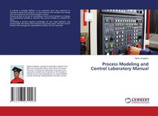 Copertina di Process Modeling and Control Laboratory Manual