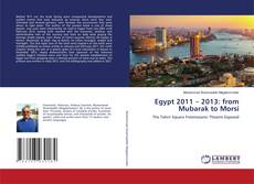Copertina di Egypt 2011 – 2013: from Mubarak to Morsi
