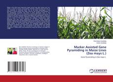 Copertina di Marker Assisted Gene Pyramiding in Maize Lines (Zea mays L.)