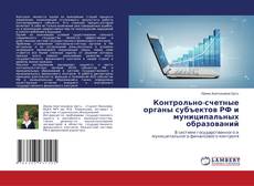 Buchcover von Контрольно-счетные органы субъектов РФ и муниципальных образований