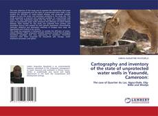 Copertina di Cartography and inventory of the state of unprotected water wells in Yaoundé, Cameroon: