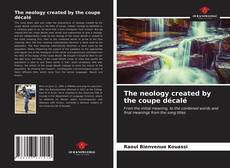 Capa do livro de The neology created by the coupe décalé 