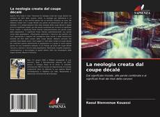 La neologia creata dal coupe décalé kitap kapağı