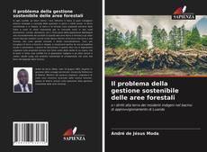 Il problema della gestione sostenibile delle aree forestali kitap kapağı