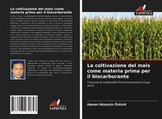 La coltivazione del mais come materia prima per il biocarburante kitap kapağı