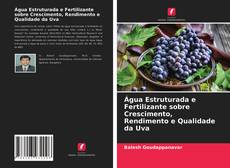 Обложка Água Estruturada e Fertilizante sobre Crescimento, Rendimento e Qualidade da Uva