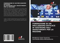 FORMAZIONE DI UN MECCANISMO EFFICACE DI SOSTEGNO AGLI INVESTIMENTI PER LA REGIONE kitap kapağı