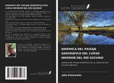 Bookcover of DINÁMICA DEL PAISAJE GEOGRÁFICO DEL CURSO INFERIOR DEL RÍO SUCURIÚ