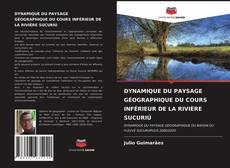 Обложка DYNAMIQUE DU PAYSAGE GÉOGRAPHIQUE DU COURS INFÉRIEUR DE LA RIVIÈRE SUCURIÚ