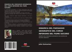 Обложка DINAMICA DEL PAESAGGIO GEOGRAFICO DEL CORSO INFERIORE DEL FIUME SUCURIÚ