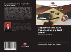 Buchcover von Sagesse locale dans l'application du droit pénal