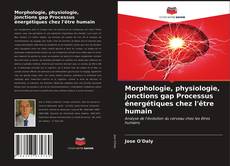 Обложка Morphologie, physiologie, jonctions gap Processus énergétiques chez l'être humain