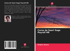 Buchcover von Curso de Saari Sage Payroll HR