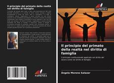 Il principio del primato della realtà nel diritto di famiglia kitap kapağı