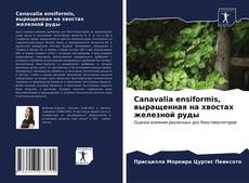 Обложка Canavalia ensiformis, выращенная на хвостах железной руды