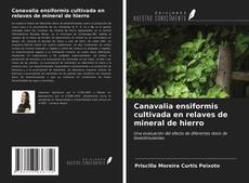 Bookcover of Canavalia ensiformis cultivada en relaves de mineral de hierro