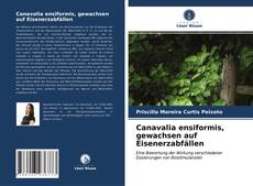 Canavalia ensiformis, gewachsen auf Eisenerzabfällen的封面