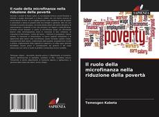 Il ruolo della microfinanza nella riduzione della povertà kitap kapağı