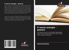 Il nesso energia - genere kitap kapağı