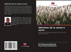 Обложка Sélection de la canne à sucre