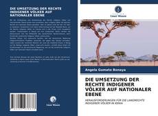 Portada del libro de DIE UMSETZUNG DER RECHTE INDIGENER VÖLKER AUF NATIONALER EBENE