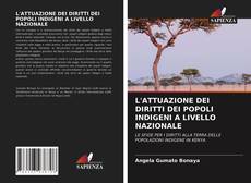 L'ATTUAZIONE DEI DIRITTI DEI POPOLI INDIGENI A LIVELLO NAZIONALE kitap kapağı