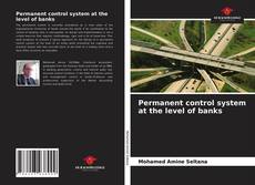 Portada del libro de Permanent control system at the level of banks