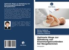 Optimale Wege zur Behebung von Eisenmangelzuständen bei Neugeborenen的封面