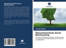 Ökosystemschutz durch Bleirecycling的封面