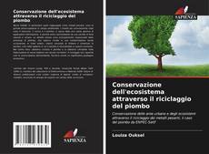 Conservazione dell'ecosistema attraverso il riciclaggio del piombo kitap kapağı