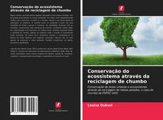 Обложка Conservação do ecossistema através da reciclagem de chumbo