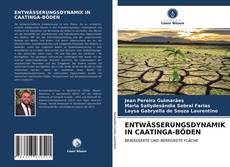 ENTWÄSSERUNGSDYNAMIK IN CAATINGA-BÖDEN的封面