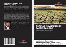 Borítókép a  DRAINAGE DYNAMICS IN CAATINGA SOILS - hoz