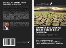 Portada del libro de DINÁMICA DEL DRENAJE EN LOS SUELOS DE LA CAATINGA