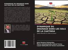 Обложка DYNAMIQUE DU DRAINAGE DANS LES SOLS DE LA CAATINGA