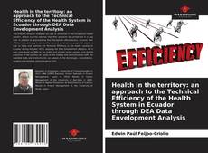 Health in the territory: an approach to the Technical Efficiency of the Health System in Ecuador through DEA Data Envelopment Analysis的封面