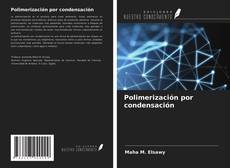 Bookcover of Polimerización por condensación