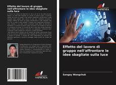 Copertina di Effetto del lavoro di gruppo nell'affrontare le idee sbagliate sulla luce