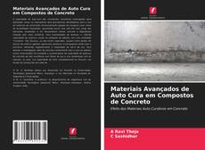 Materiais Avançados de Auto Cura em Compostos de Concreto的封面