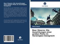 Portada del libro de Bear Stearns: Die Auswirkungen einer großen Pleite im Vereinigten Königreich