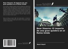 Bookcover of Bear Stearns: El impacto de una gran quiebra en el Reino Unido