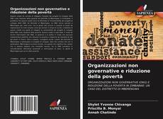 Organizzazioni non governative e riduzione della povertà kitap kapağı