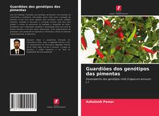 Couverture de Guardiões dos genótipos das pimentas